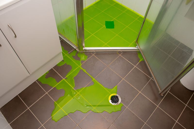 Shower Drain Components